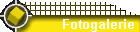 Fotogalerie